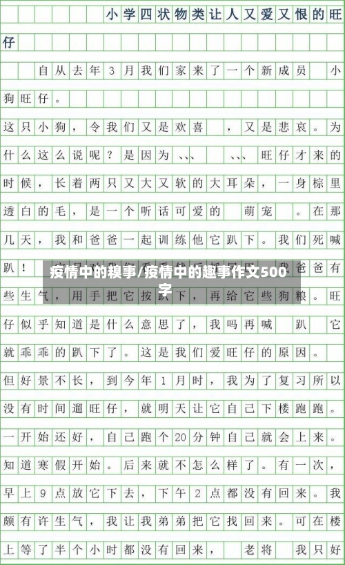 疫情中的糗事/疫情中的趣事作文500字