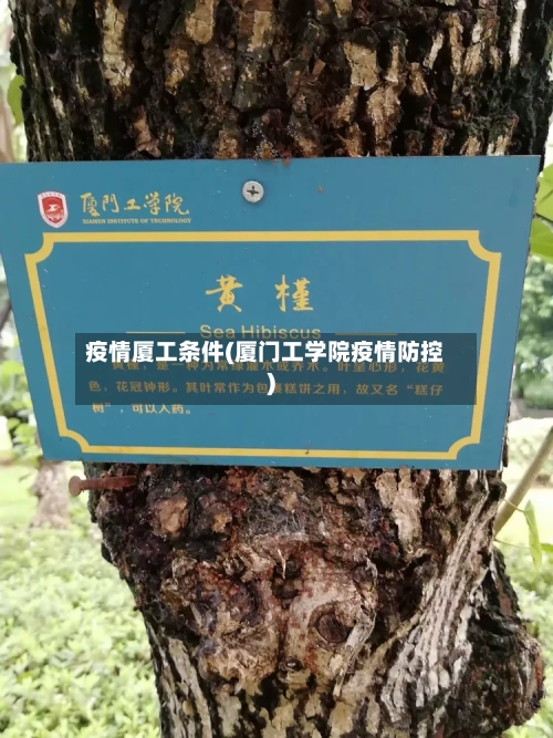 疫情厦工条件(厦门工学院疫情防控)-第1张图片
