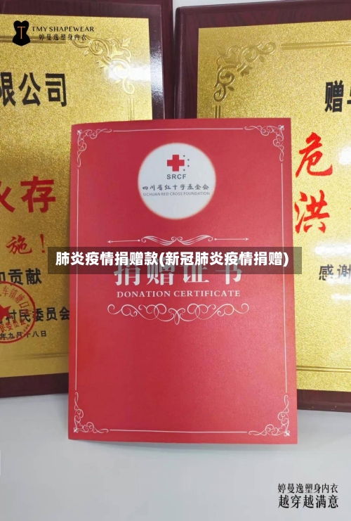 肺炎疫情捐赠款(新冠肺炎疫情捐赠)-第2张图片