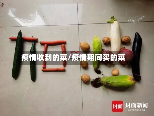 疫情收到的菜/疫情期间买的菜-第1张图片