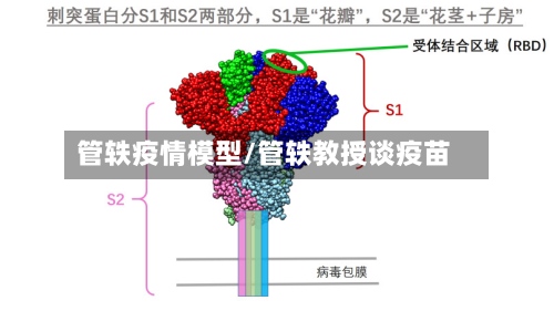 管轶疫情模型/管轶教授谈疫苗-第1张图片