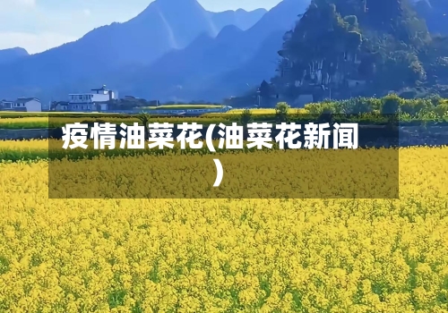 疫情油菜花(油菜花新闻)-第1张图片