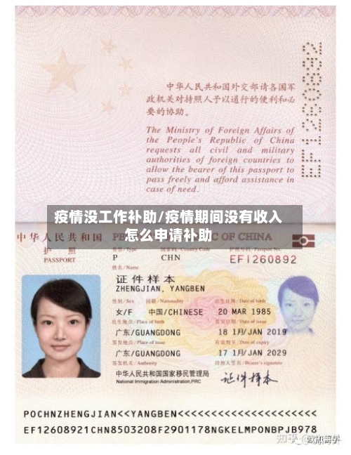 疫情没工作补助/疫情期间没有收入怎么申请补助-第1张图片